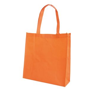 10950_Bag_1